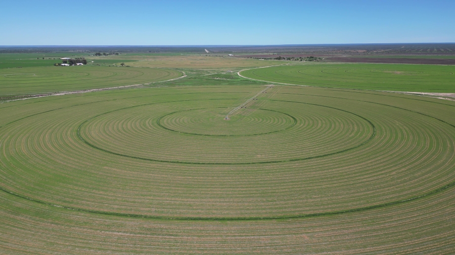 0 Bedroom Property for Sale in Douglas Rural Northern Cape